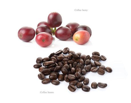 coffee berry and coffee beans isolated on white