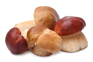 Cep mushrooms (Boletus edulis)