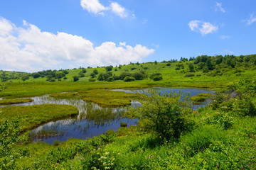 Fototapeta na wymiar Yashimagahara marsh at Kirigamine Highland in Nagano, Japan