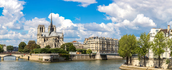 Obraz premium Seine and Notre Dame de Paris