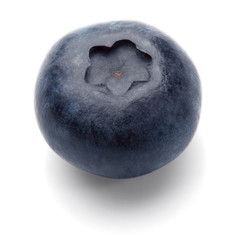 blueberry isolated