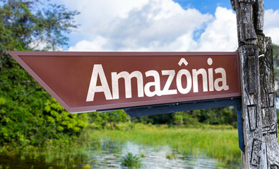Obraz premium Amazonia wooden sign with a forest background