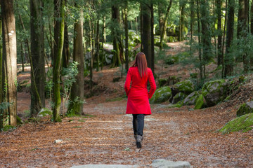 Young woman walking away alone on a forest path - obrazy, fototapety, plakaty