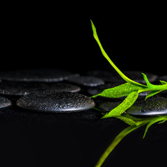 beautiful spa background of green branch bamboo on zen basalt st