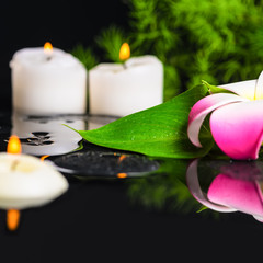 beautiful spa concept of green leaf calla lily, plumeria with dr