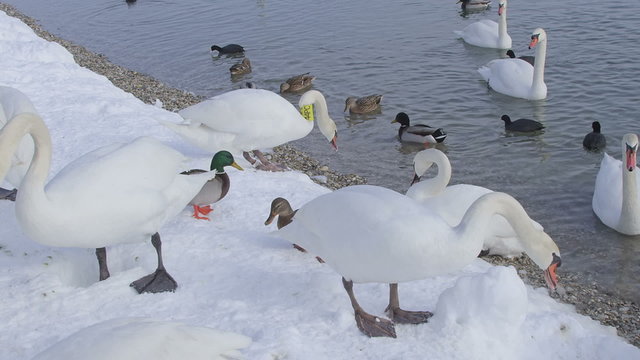 zagreb, jarun lake