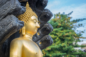 Naga Buddha statue