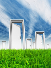 White door in grass with sky background