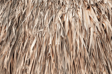 Roof made of palm leaves, background texture