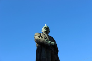 Чайка на Ленине