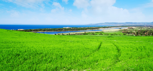 Fototapeta na wymiar green field by the coast in Sardinia