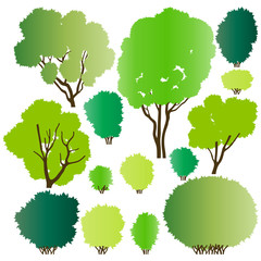 Fototapeta premium Forest trees silhouettes illustration collection background vect