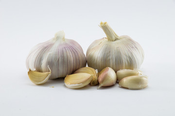 Garlic