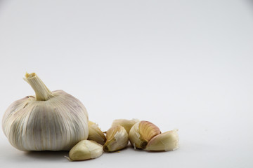 Garlic