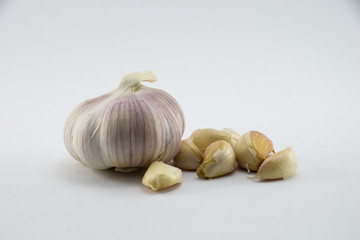 Garlic