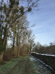 Feldweg und Mauer im Winter