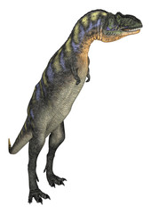 Dinosaur Aucasaurus