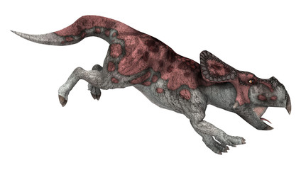 Dinosaur Protoceratops
