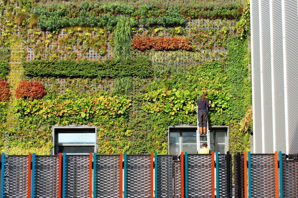 Wall mural garden