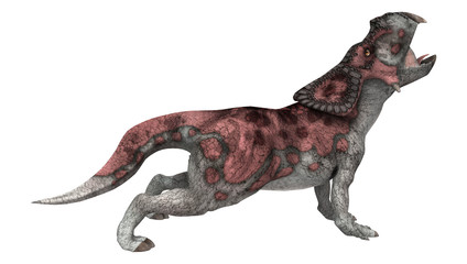 Obraz na płótnie Canvas Dinosaur Protoceratops