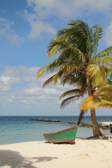 Beach in tropics. Isla Saona, La Romana, Dominican Republic