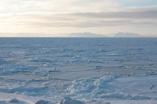 Eisfjord auf Spitzbergen