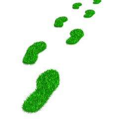 Green Grass Footsteps Path