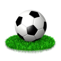 Fototapeta premium Soccer Ball on Grass