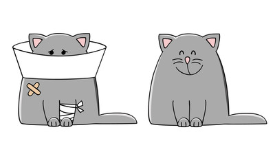 vector illustration of a sick cat and healthy cat
