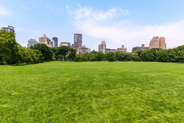 Fototapeta na wymiar Central Park Sheep meadow Manhattan New York