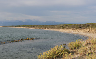 San Rossore Regional Park coastline