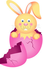 Cute bunny in egg