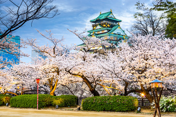 Naklejka premium Osaka, Japonia na zamku w Osace w sezonie wiosennym.