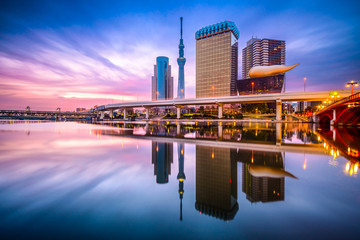 Fototapeta premium Tokio, Japonia Skyline na rzece Sumida