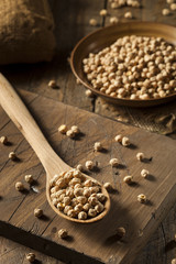 Raw Organic Garbanzo Beans