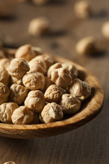 Raw Organic Garbanzo Beans