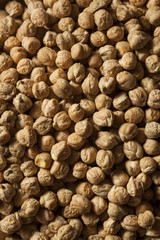 Raw Organic Garbanzo Beans