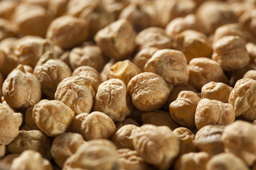 Raw Organic Garbanzo Beans