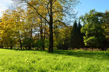Autumn sunny landscape with   in Pushkin garden.