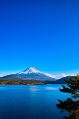 富士山と本栖湖