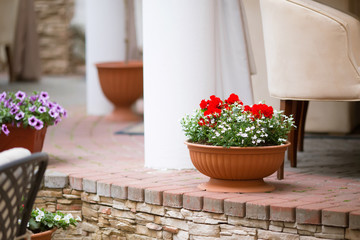 Flower in basket decorated near house, cafe