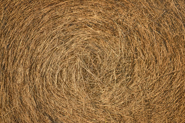 dry hay texture
