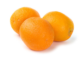 Orange fruit