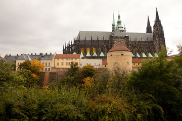Fototapeta na wymiar Prague Castle and St. Vitus
