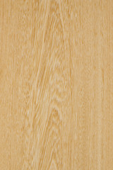 シロタガヤの板