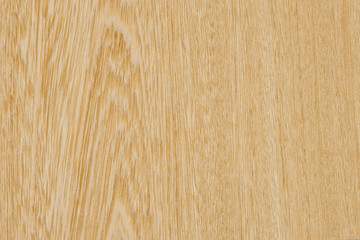 シロタガヤの板