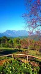 Doi luang chiang dao mountain at chiangmai thailand © jaturunp