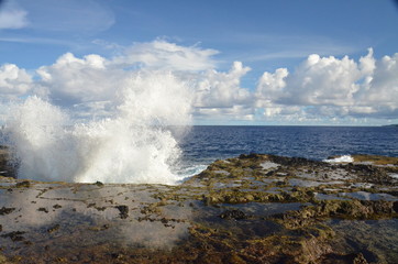Fototapeta na wymiar Seaside with breaking wave
