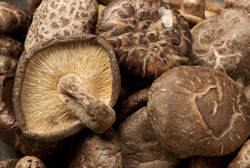 Macro of dried shitake mushrooms.