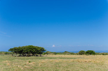 Fototapeta premium 沖縄県 黒島の風景